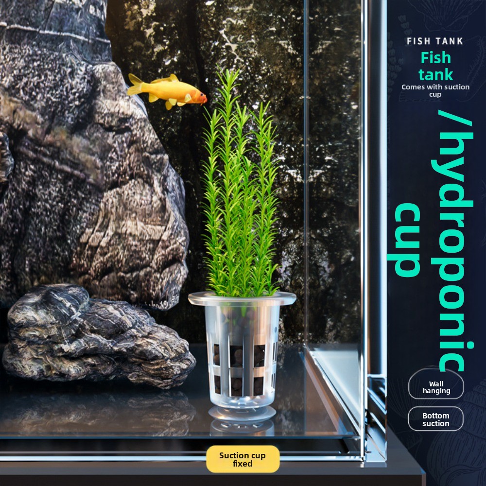 10Pcs Transparent Plant Hydrop - Plant Aquarium Pot 评论和价格