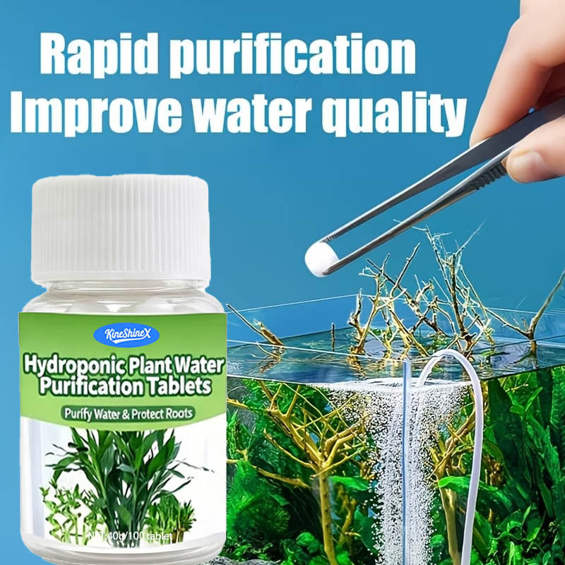 Hydroponic Water Purification  - Plant Aquarium Pot 评论和价格