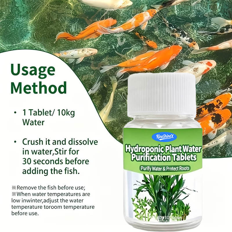 Hydroponic Water Purification  - Plant Aquarium Pot 评论和价格