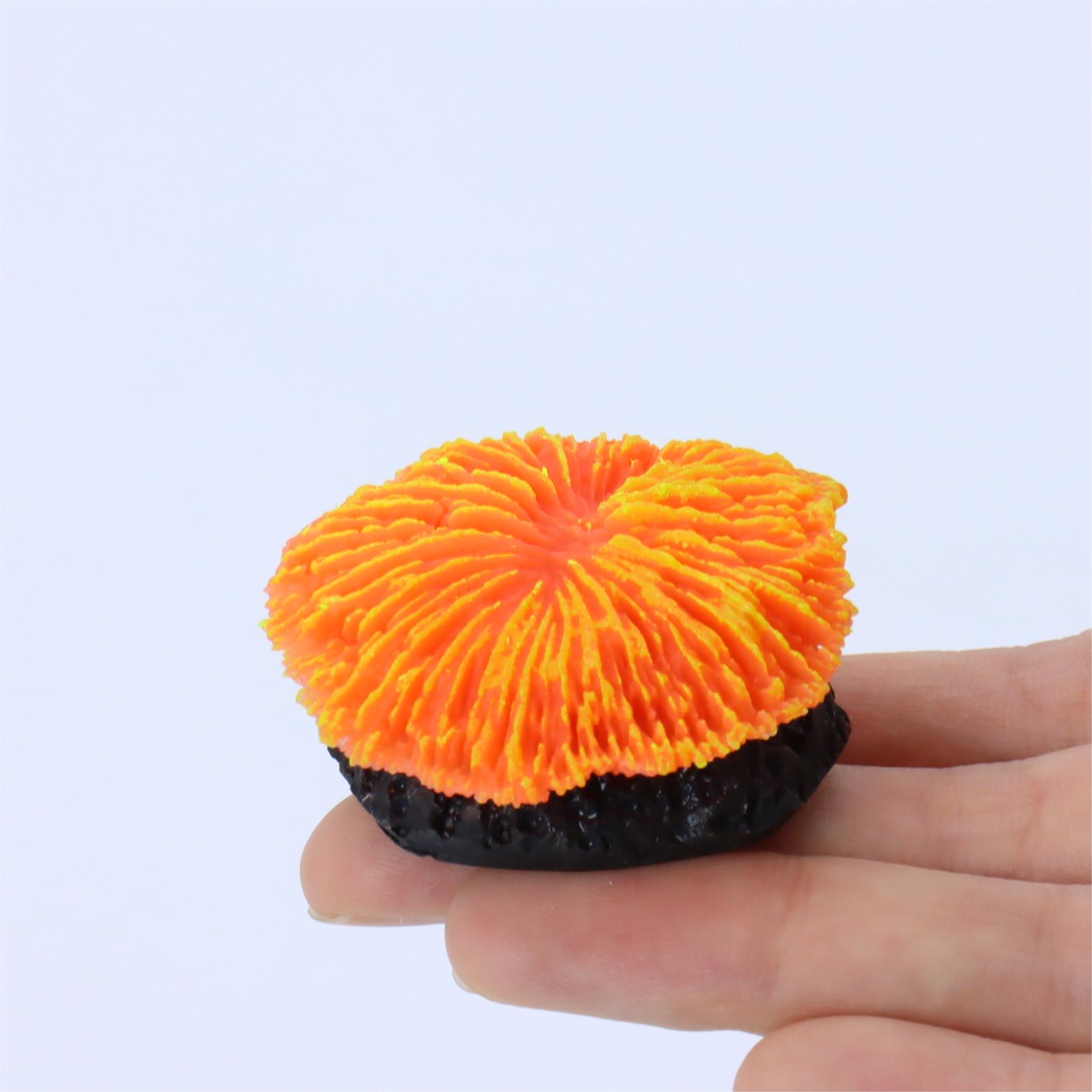 1 Piece Aquarium Decoration Sa - Aquarium Plants Live 评论和价格