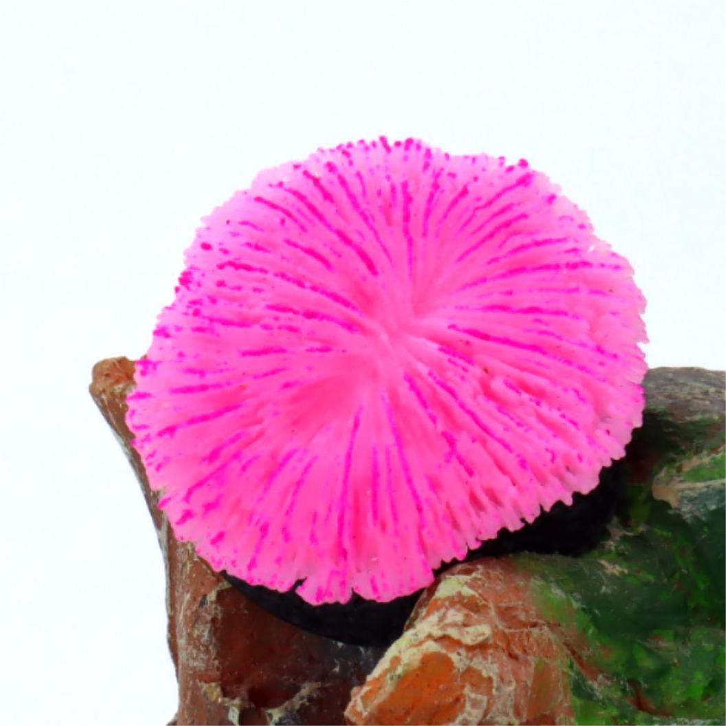 1 Piece Aquarium Decoration Sa - Aquarium Plants Live 评论和价格