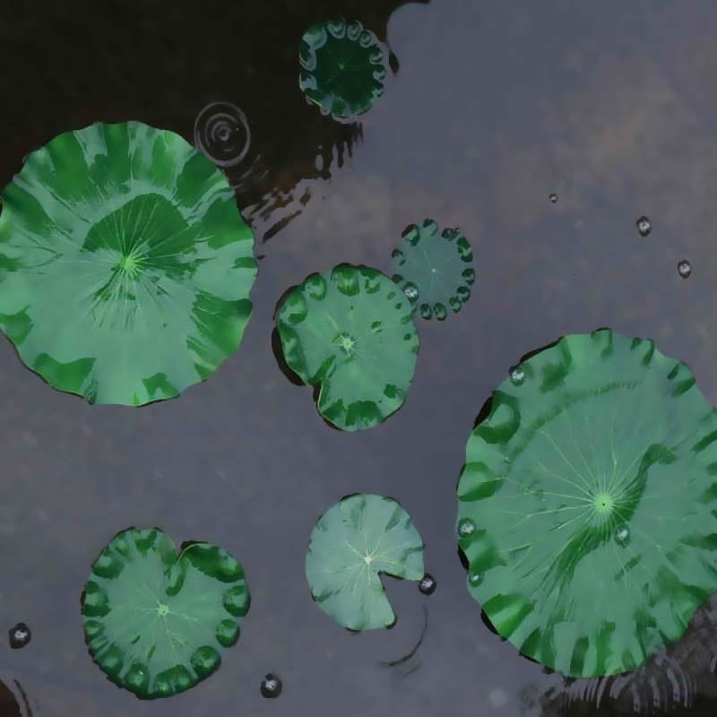 2026 Artificial Water Lily Lot - Aquarium Plant Substrate 评论和价格