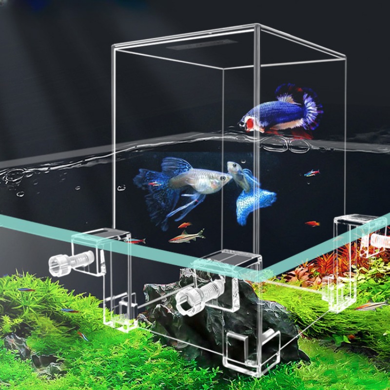 Creative Aquarium Tanks Negati - Plant Aquarium Pot 评论和价格