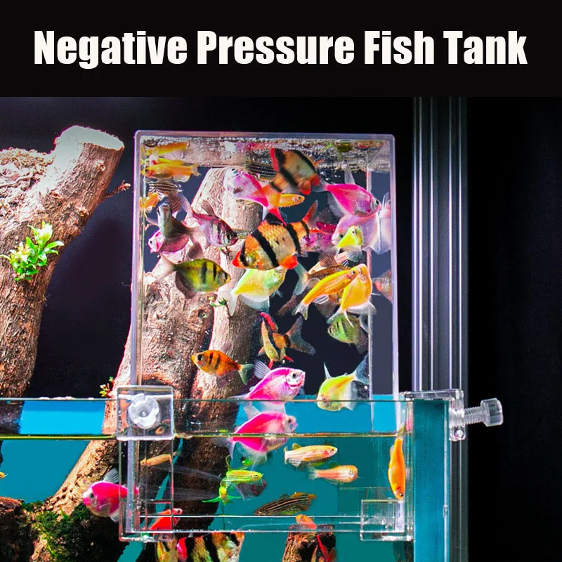 Creative Aquarium Tanks Negati - Plant Aquarium Pot 评论和价格