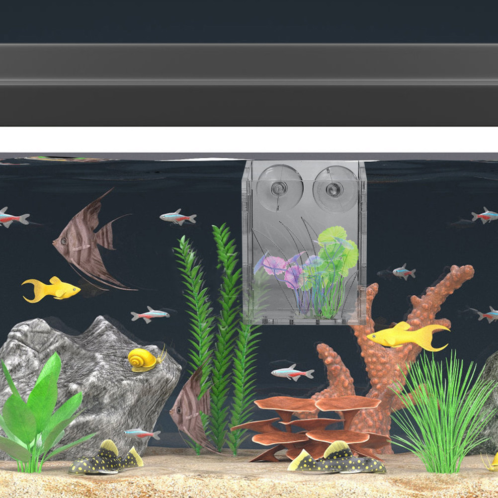 3Pcs Aquarium Plant Holder Cle - Plant Aquarium Pot 评论和价格
