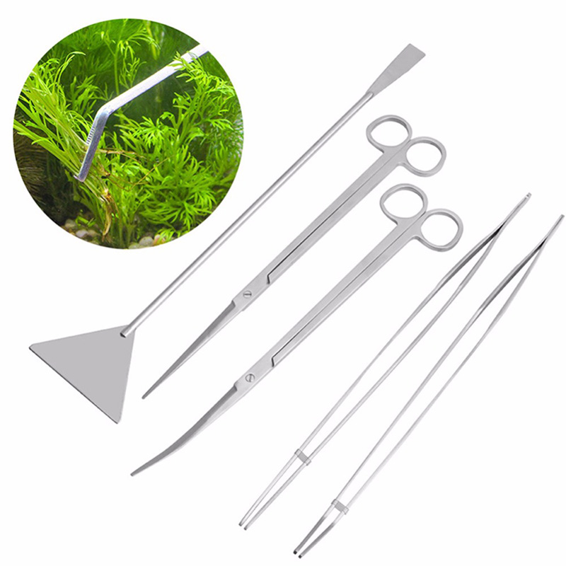 Professional Aquarium Maintena - Aquarium Plants Live 评论和价格