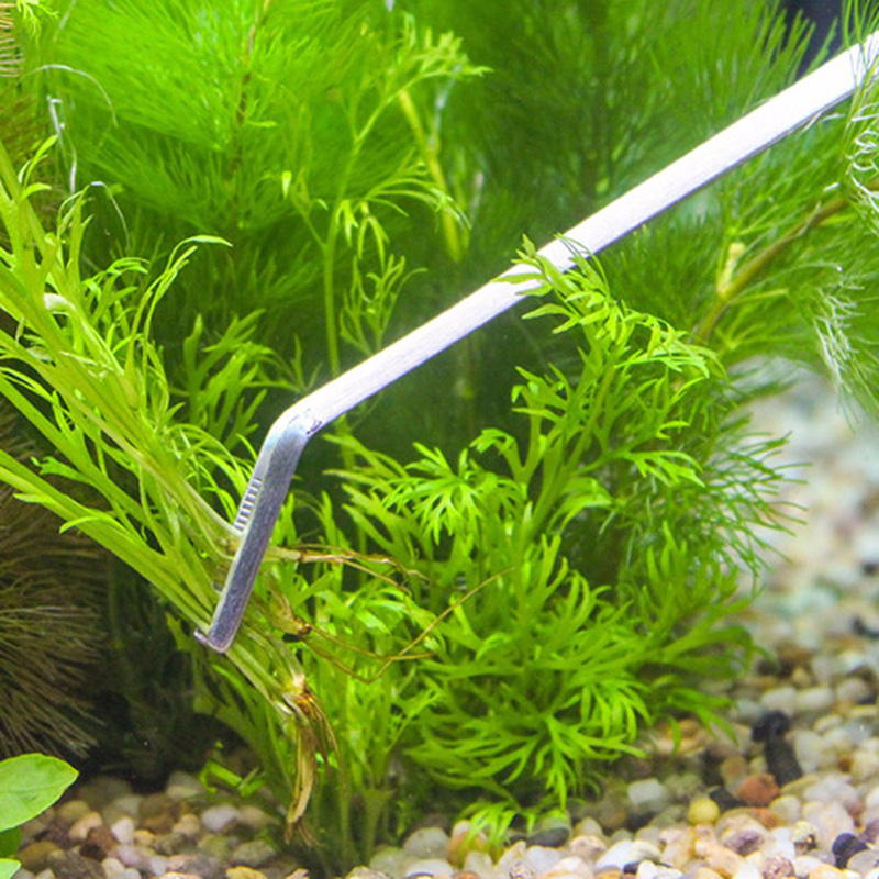 Professional Aquarium Maintena - Aquarium Plants Live 评论和价格