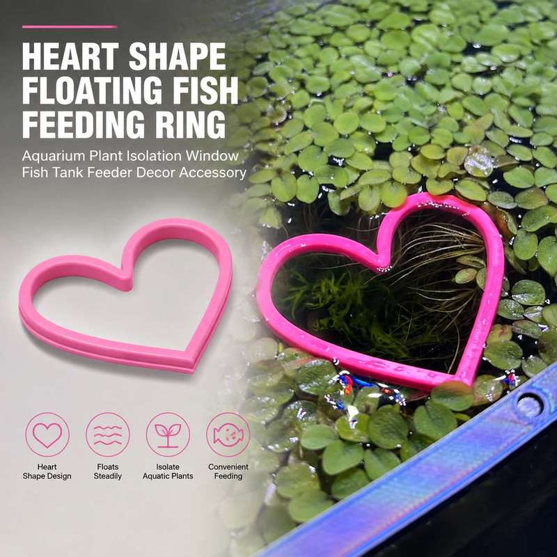 Heart Shaped Floating Fish Fee - Aquarium Fertilizer 评论和价格
