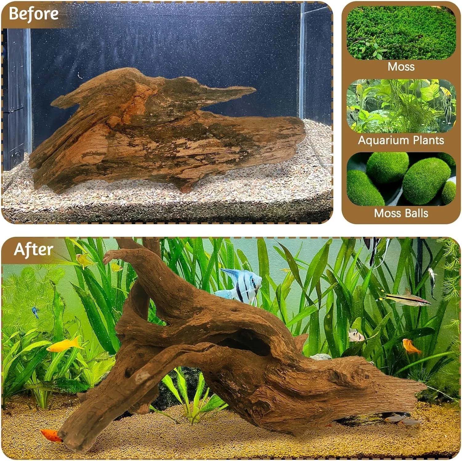 15-20CM 1Pc Natural Driftwood  - Aquarium Driftwood 评论和价格