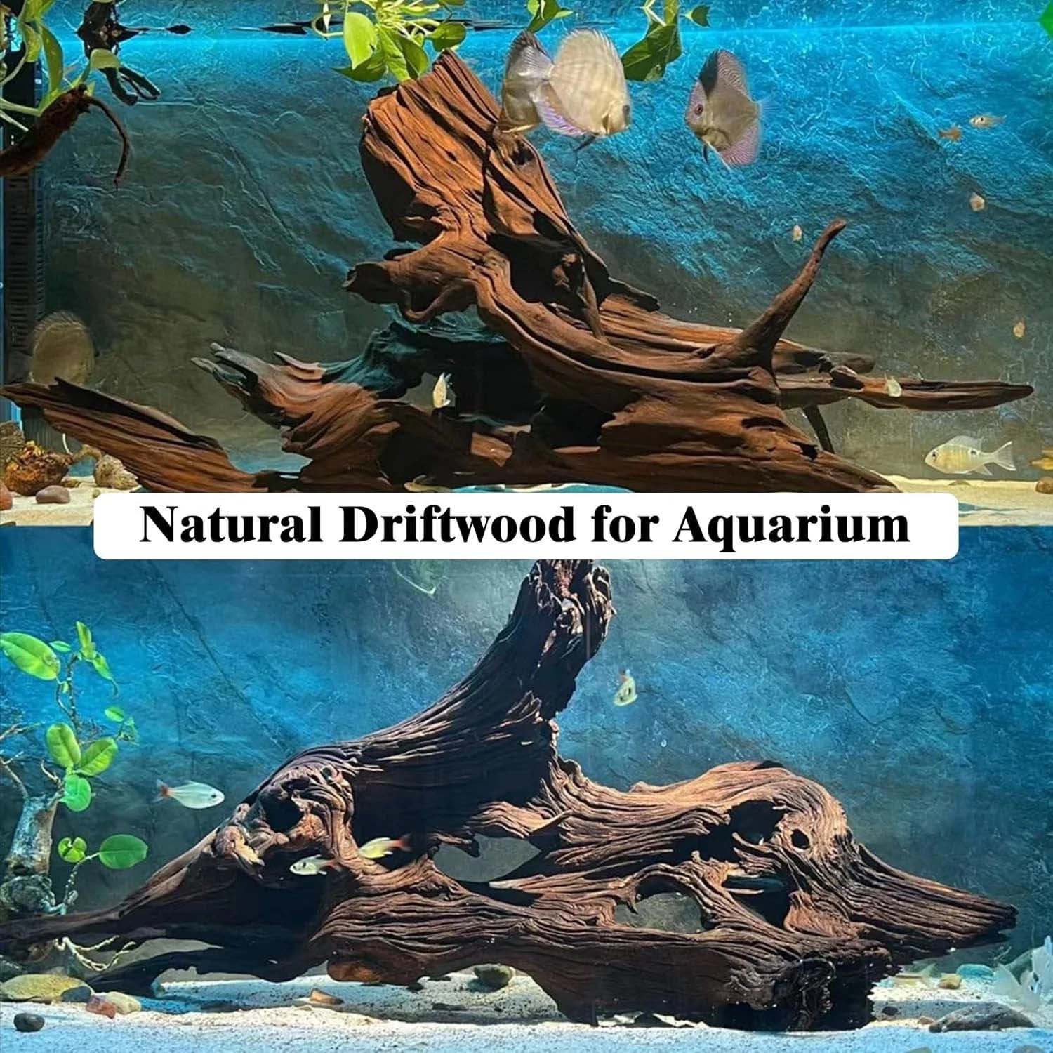 15-20CM 1Pc Natural Driftwood  - Aquarium Driftwood 评论和价格