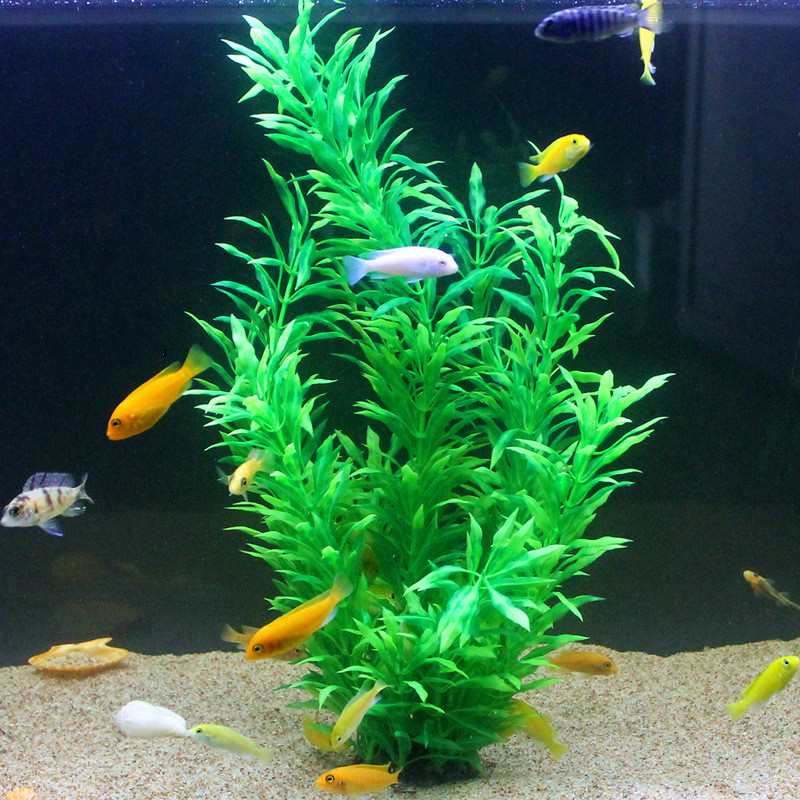 50CM Artificial Fish Tank Rare - Planted Tank 评论和价格