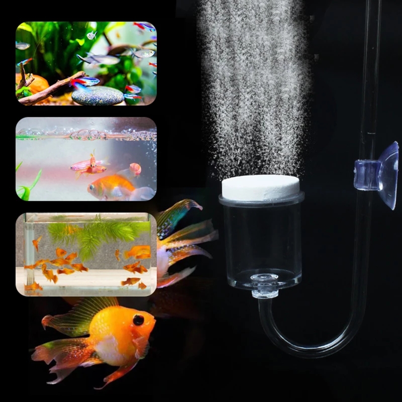 4pcs Set DIY CO2 Diffuser For  - Aquarium Moss 评论和价格