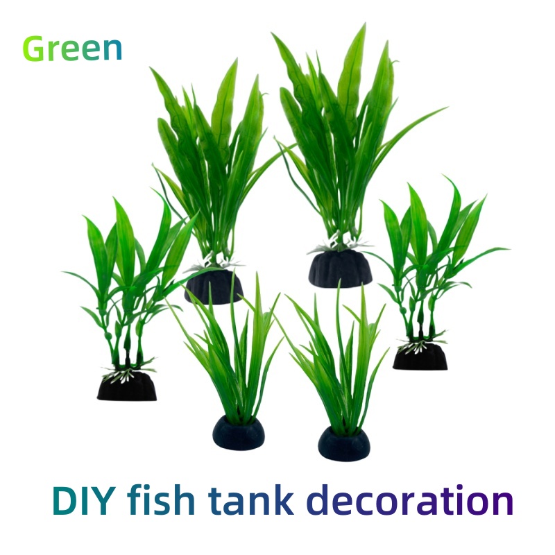 6pcs Packs Aquarium Plants, Fi - Aquarium Plants Live 评论和价格