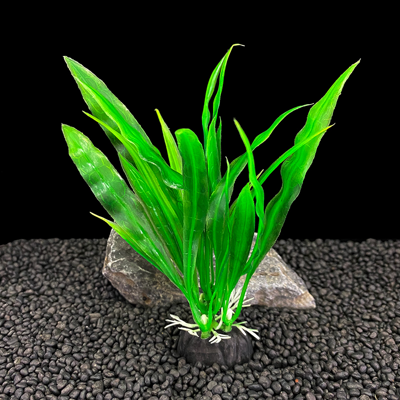 6pcs Packs Aquarium Plants, Fi - Aquarium Plants Live 评论和价格